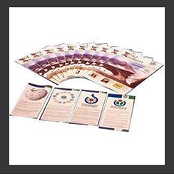 Brochure Printing Service